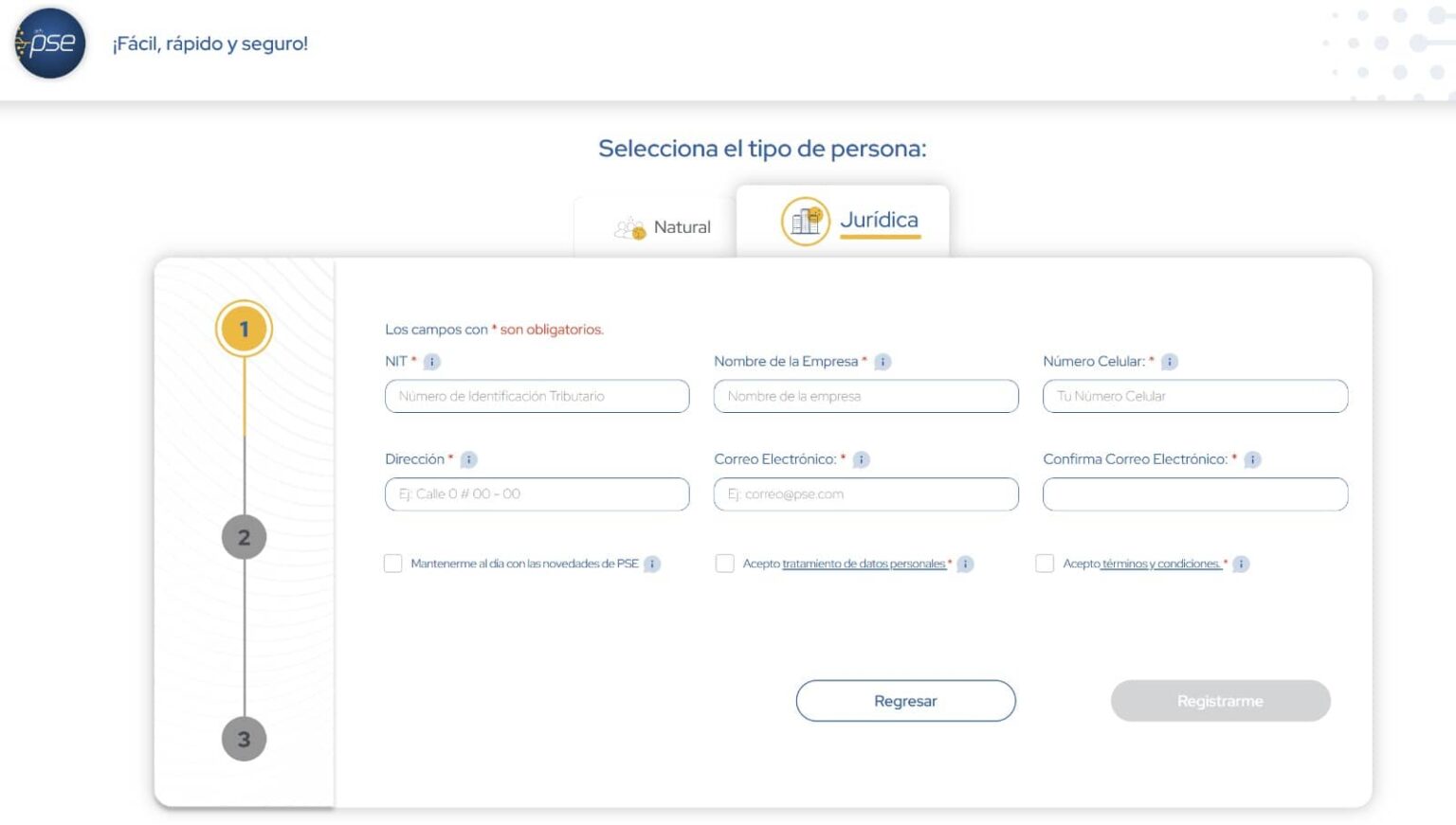 Express Pse PSE ¿Qué es y cómo funciona? » iKiwi.co